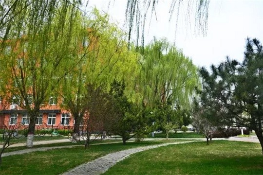 北京市新府学外国语学校校园风景图集