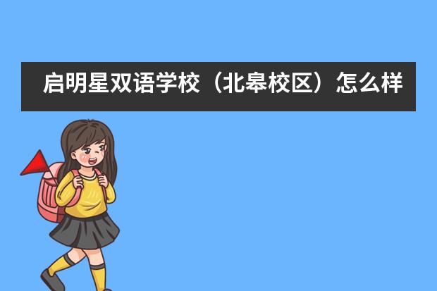 启明星双语学校（北皋校区）怎么样？