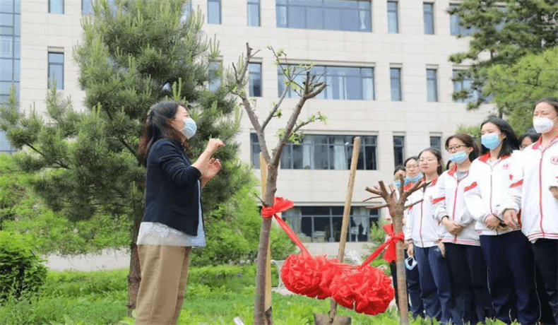 呼市二中国际部植树图集01