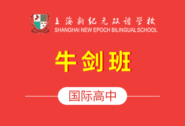 上海新纪元双语学校图片