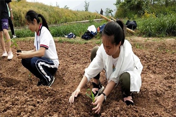 巴川中学国际部户外活动图集01