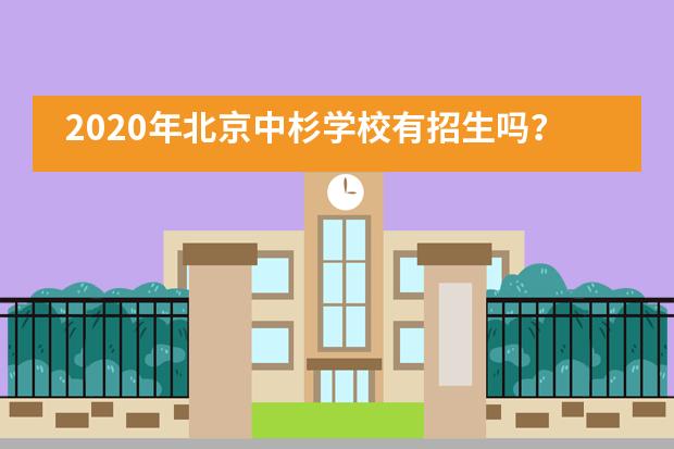 2020年北京中杉学校有招生吗？