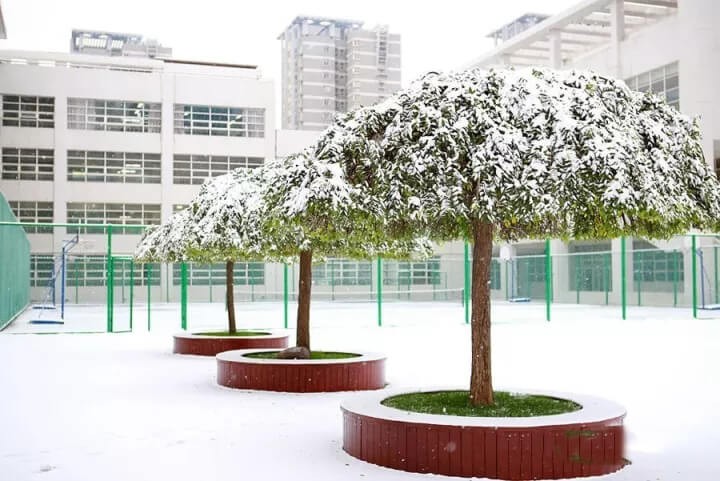 西安高新国际学校学校风景图集01