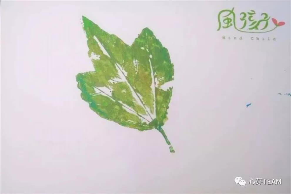 宁乡市碧桂园学校植物探究活动图集01