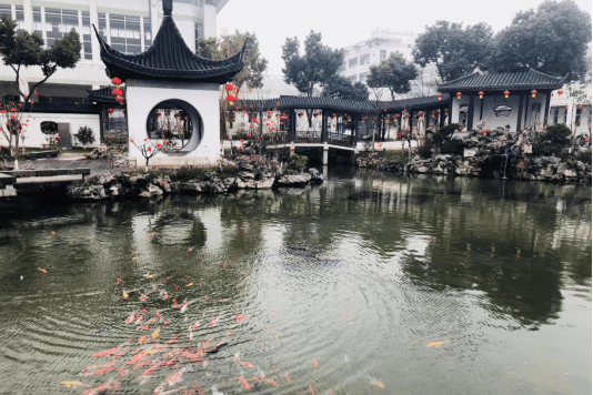 南京師范大學(xué)附屬實(shí)驗(yàn)學(xué)校國(guó)際部校園庭院圖集01