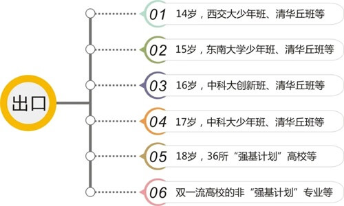 强基计划
