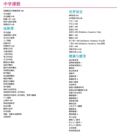 上海斯代文森国际学校课程图片