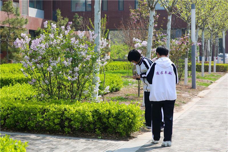 衡水第一中学国际部春季景观图集01