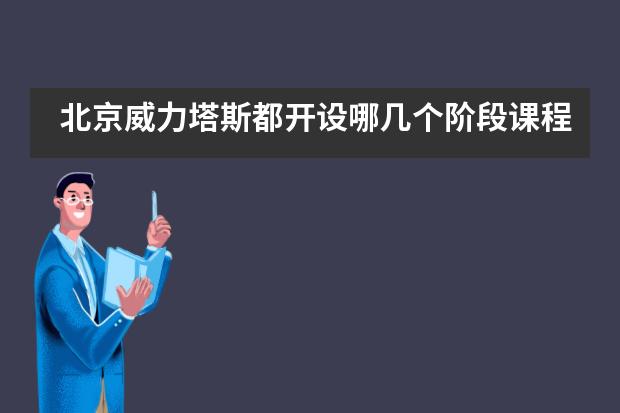 北京威力塔斯都开设哪几个阶段课程？有何优势？