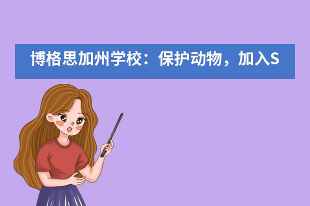 博格思加州学校：保护动物，加入SAPO，别让人类成为最孤单的生命