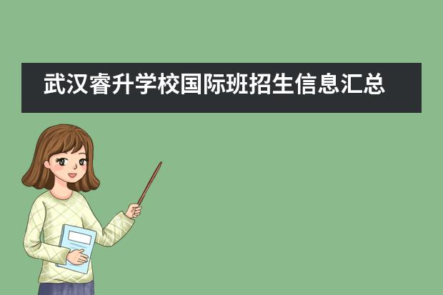 武汉睿升学校国际班招生信息汇总