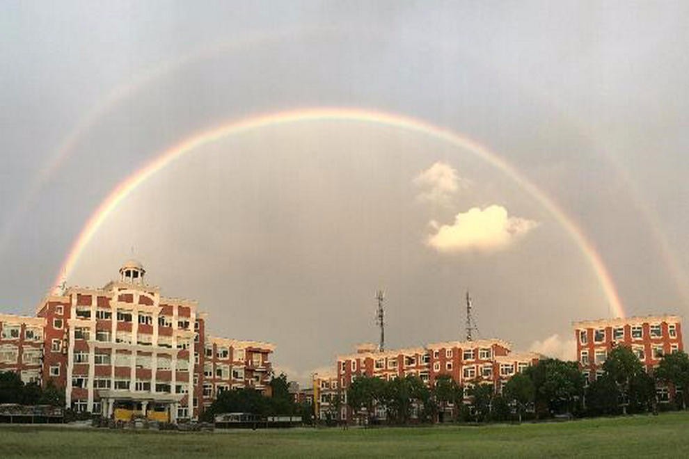 领科教育上海校区学校风景图集01