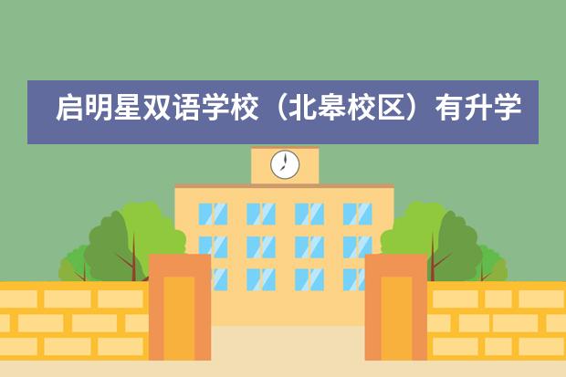 启明星双语学校（北皋校区）有升学指导服务吗？