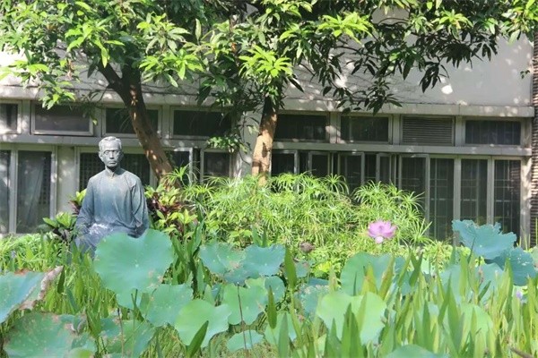 深圳桃源居中澳實驗學校風景圖集01