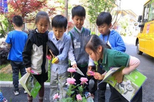 合肥常春藤实验学校科学活动图集