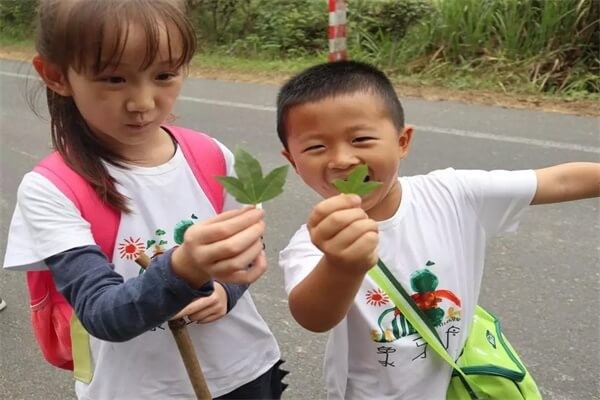 晨山学校秋游图集01