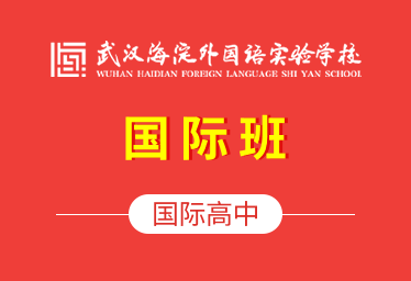 武汉海淀外国语实验学校国际高中（国际班）招生简章图片