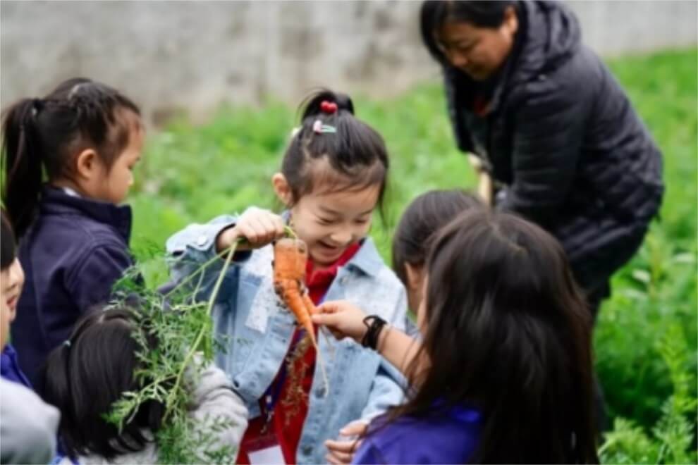 启明星双语学校（北皋校区）户外采摘活动图集