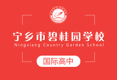 宁乡市碧桂园学校国际高中图片