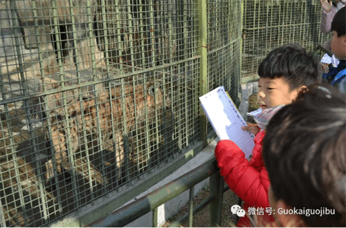 青島國開中學(xué)國際部動物園之旅圖集01