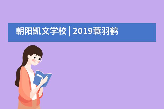 朝阳凯文学校 | 2019蓑羽鹤国际青少年冰球公开赛于朝阳凯文成功举办！