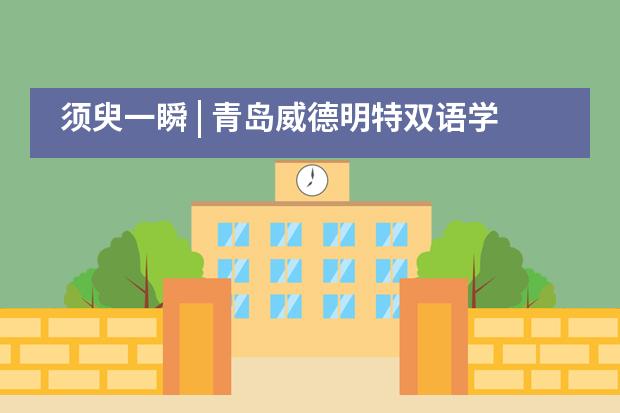 须臾一瞬 | 青岛威德明特双语学校本周校园定格瞬间