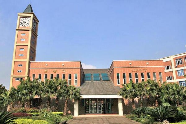 成都美视国际学校图书馆图集