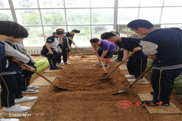 山东省青岛第九中学(青岛外语学院）国际班生物课图集01