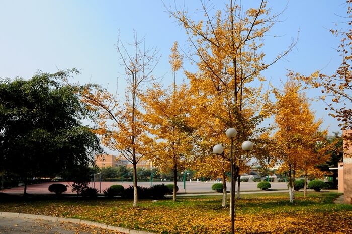 成都七中实验学校国际部校园景观图集01