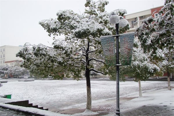 合肥世界外国语学校雪中美景图集01