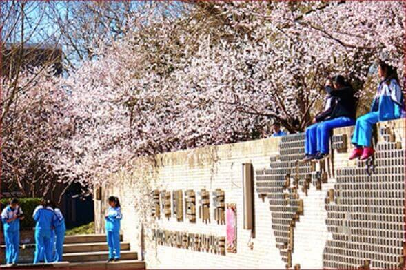 北京一零一中学国际班春季美景图集01