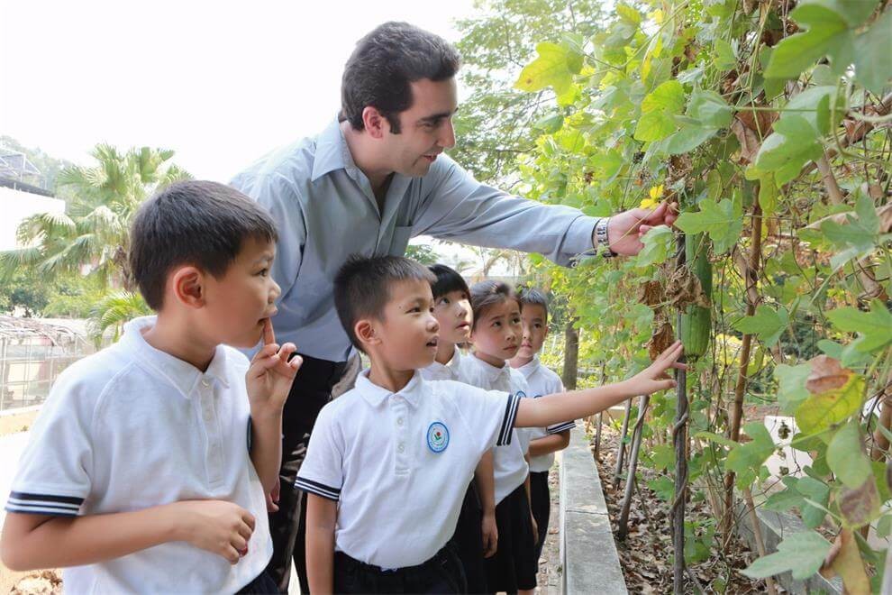 博实乐广东碧桂园学校教学园区图集01