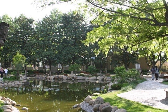 南京師范大學附屬中學國際部校園環(huán)境圖集01