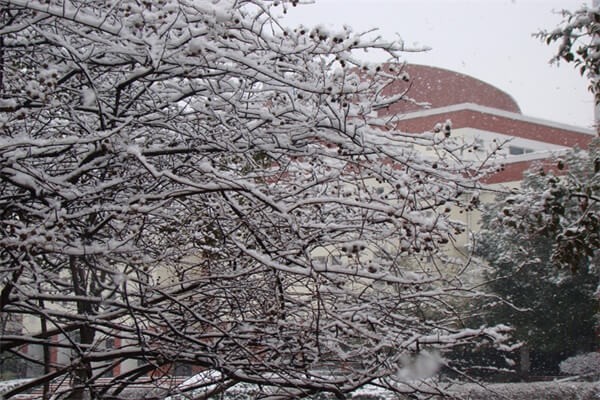 合肥世界外国语学校雪中美景图集01