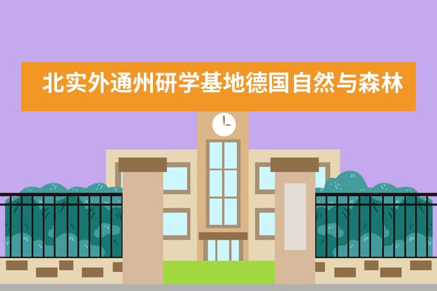 北实外通州研学基地德国自然与森林教育冬季工作坊图片