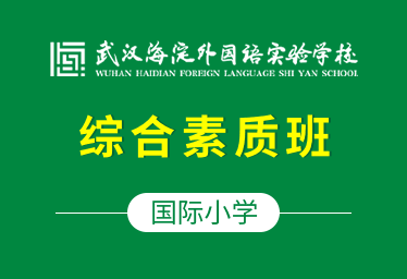 武汉海淀外国语实验学校国际小学（综合素质班）招生简章图片