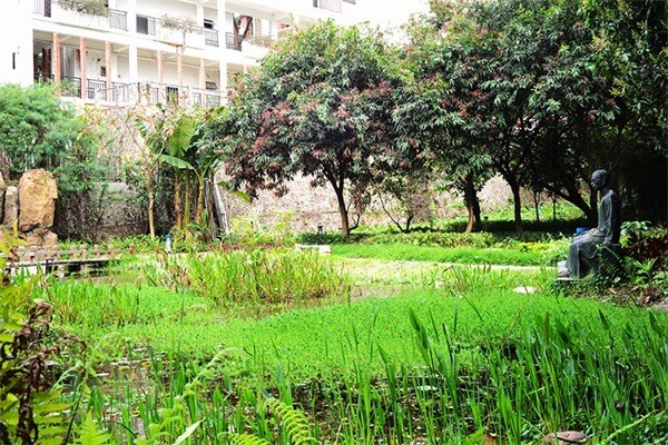 深圳桃源居中澳实验学校风景图集