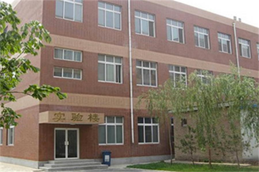 陽(yáng)光情國(guó)際學(xué)校校園風(fēng)景圖集01
