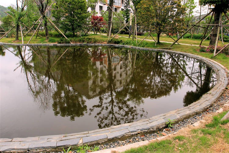 宁波滨海国际合作学校校园风景图集01