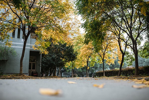 嘉興外國語學校校園景觀圖集01