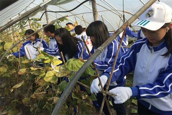 杭州外国语剑桥高中学农活动图集