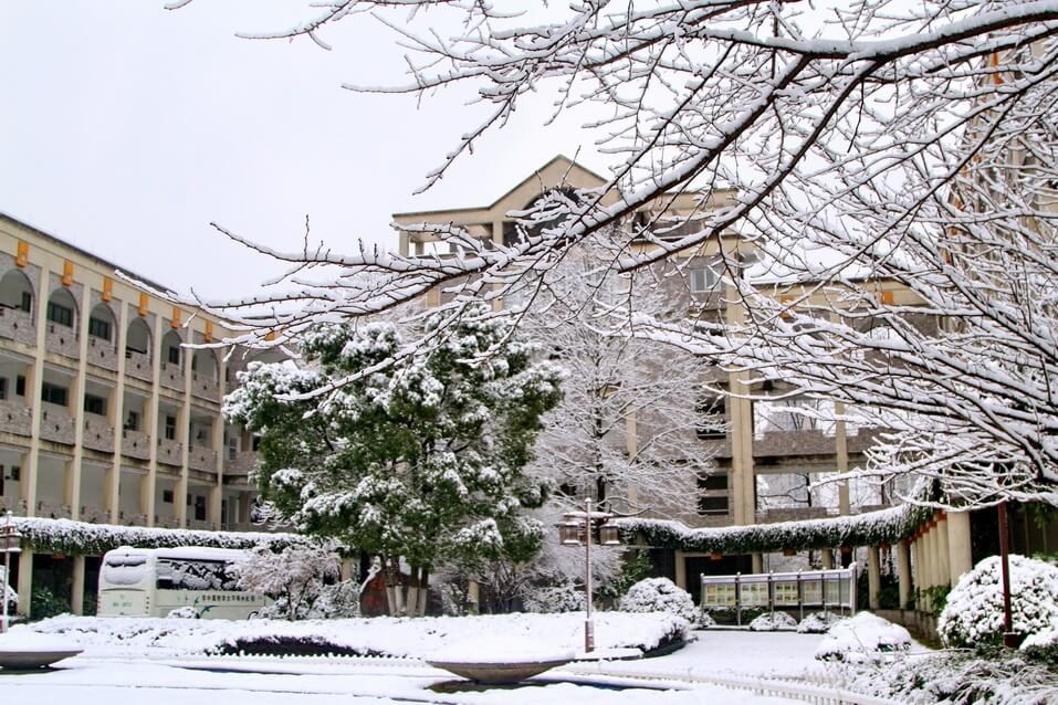 杭州师范大学附属中学国际部四季风光图集