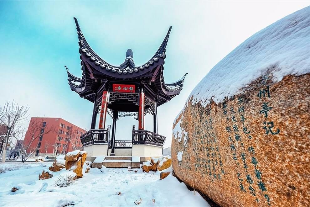 天津大学A-Level国际教育中心冬季景观图集