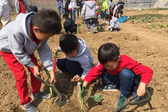 天津艾毅国际幼儿园食育教育图集01