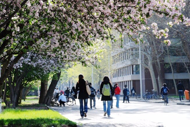 天津大学A-Level国际教育中心春季景观图集01