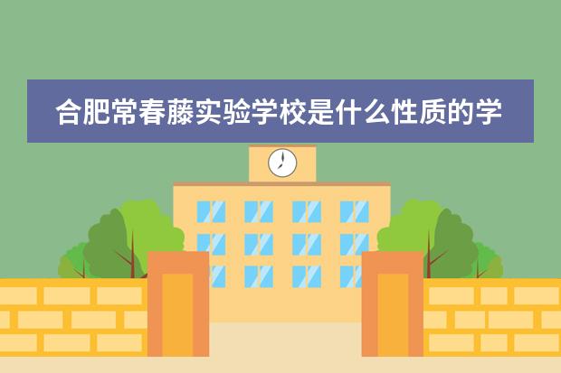 合肥常春藤实验学校是什么性质的学校 留学国家有哪些-深圳贝赛思国际学校