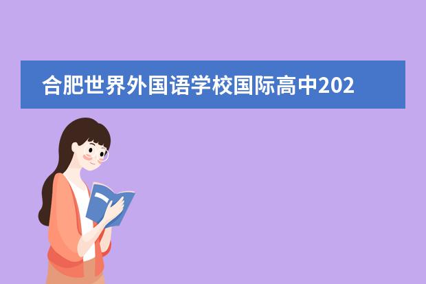 合肥世界外国语学校国际高中2020年升学成果丰硕