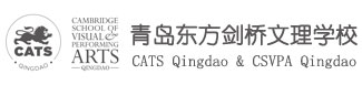 青岛东方剑桥文理学校校徽logo图片