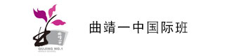 曲靖一中国际班校徽logo图片