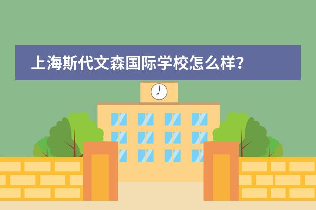 上海斯代文森国际学校怎么样？